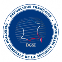 DGSI_logo.png